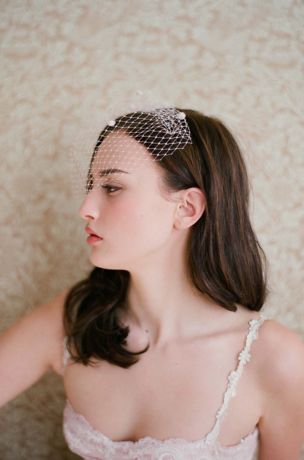 Mini Dotted Birdcage Veil David's Bridal